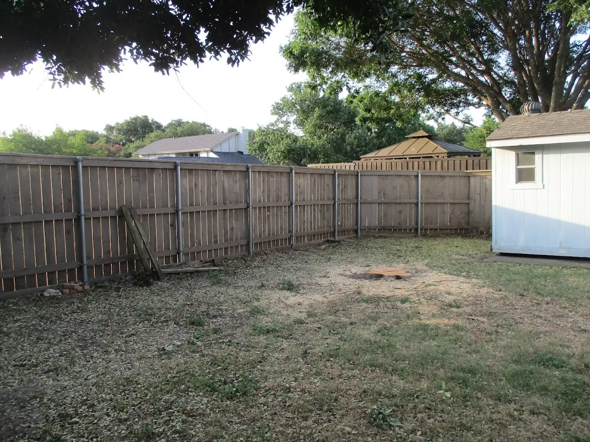 Cleared yard after professional tree removal in Fernandina Beach