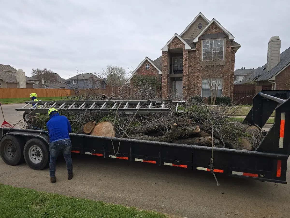 Expert Tree Pest Control with proper safety equipment in Fernandina Beach